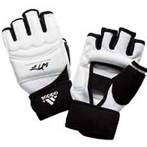 WTF Taekwondo Gloves